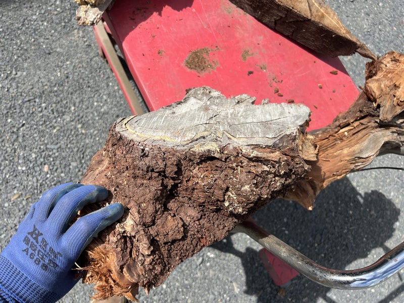 Ancient Swamp Kauri Offcuts for Artworks (Kiln-Dried, Ready to Work)64428703753857112