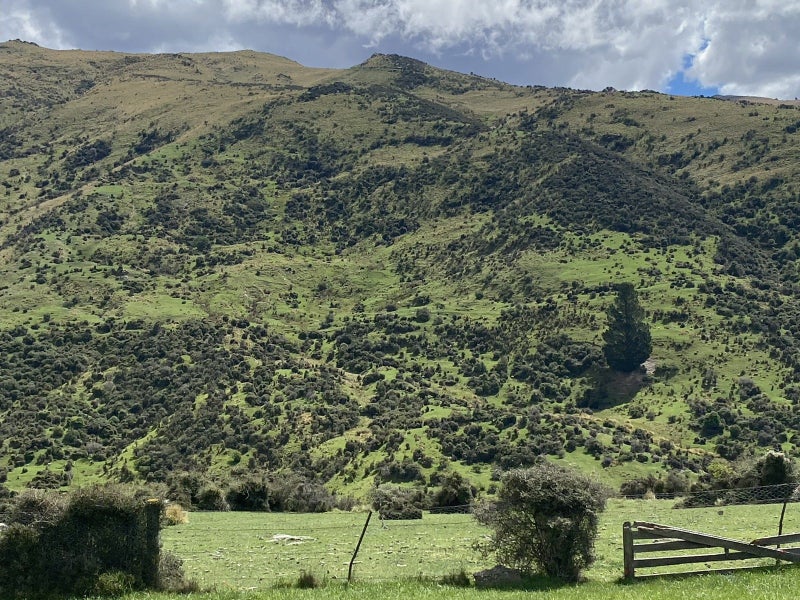 Quality Tussock Run Block64428717613187113