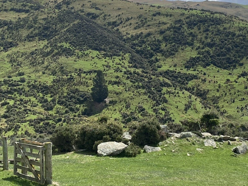 Quality Tussock Run Block64428717613187114