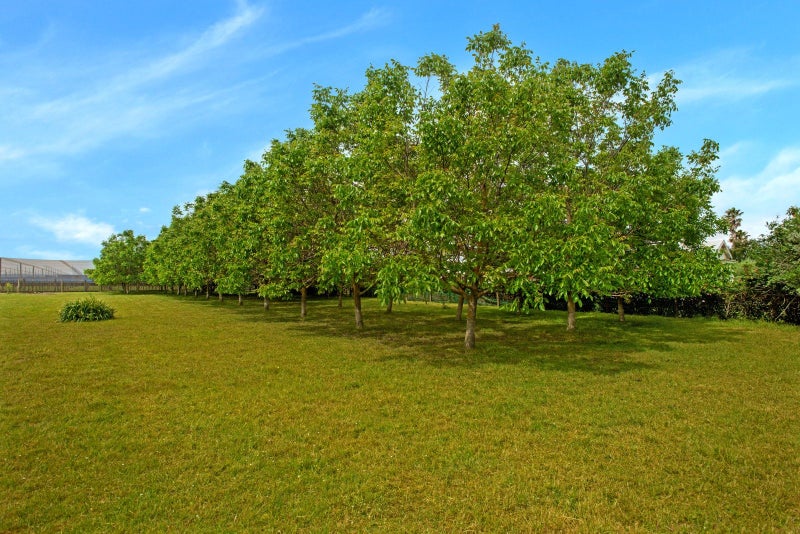 A little country calm, just minutes from town64429821663106112