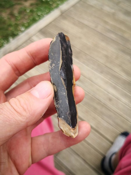 Petrified wood carving slab $1 reserve Carousel 2