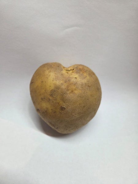 The Lobsided Heart Carousel 2