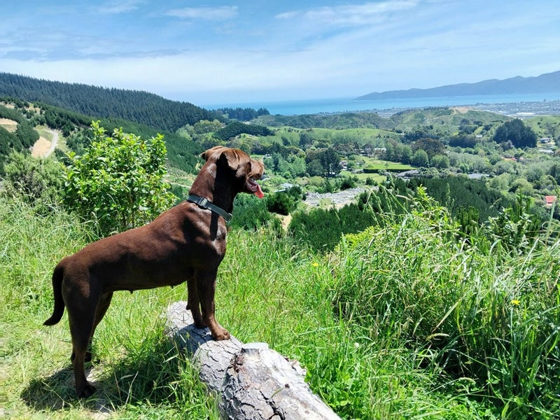 Coco - Chance 4 Change Carousel 2