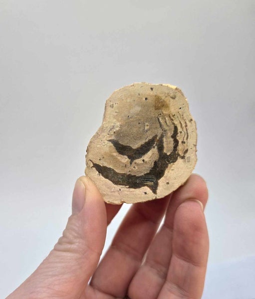 Thunder Egg Half Carousel 1