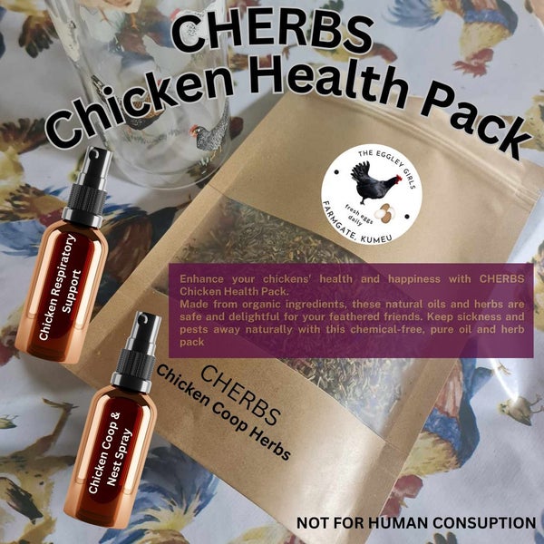 Chicken Health Pack Carousel 2