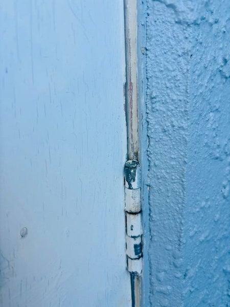 SNAP-CAP LEAD TEST KIT Carousel 5