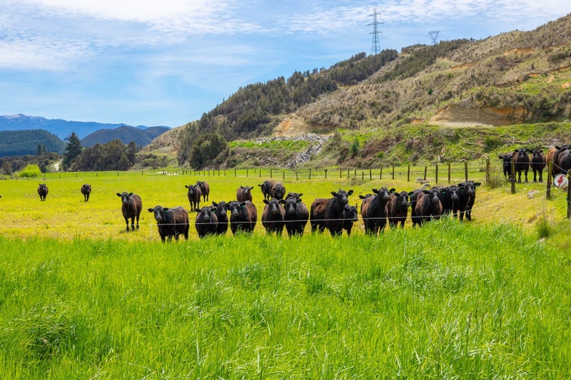 A Proven Farming Powerhouse64517125340546114