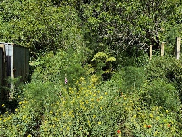 YOUR NEW BUILD OPPORTUNITY64439656783235113