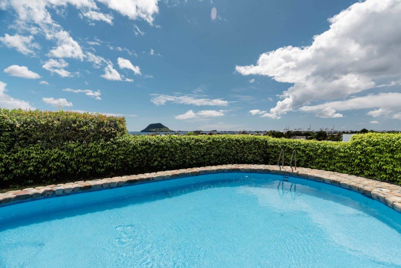 Views To Entertain64517125423233110