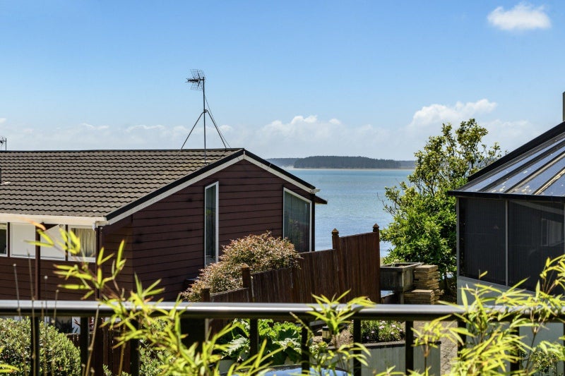 Serenity and Style in Early Matua64447777389059113