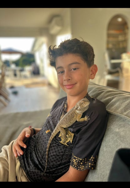 Bearded dragon Carousel 1