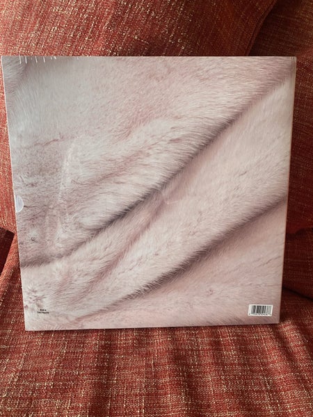 Melanie Martinez Carousel 2