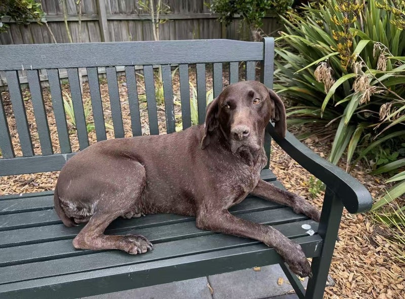 GPS looking for a new home Carousel 1