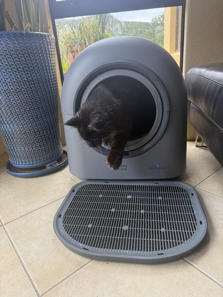 Automatic smart self cleaning cat litter box64441916863105110