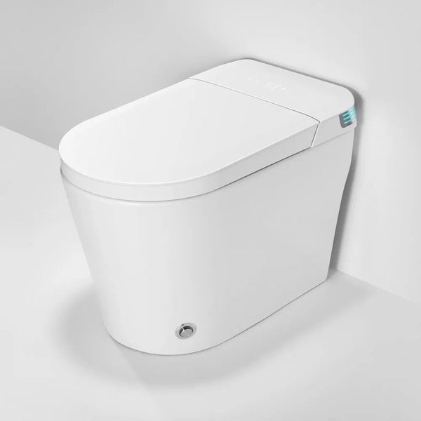 One Piece Intelligent Electric Smart Toilet Carousel 1