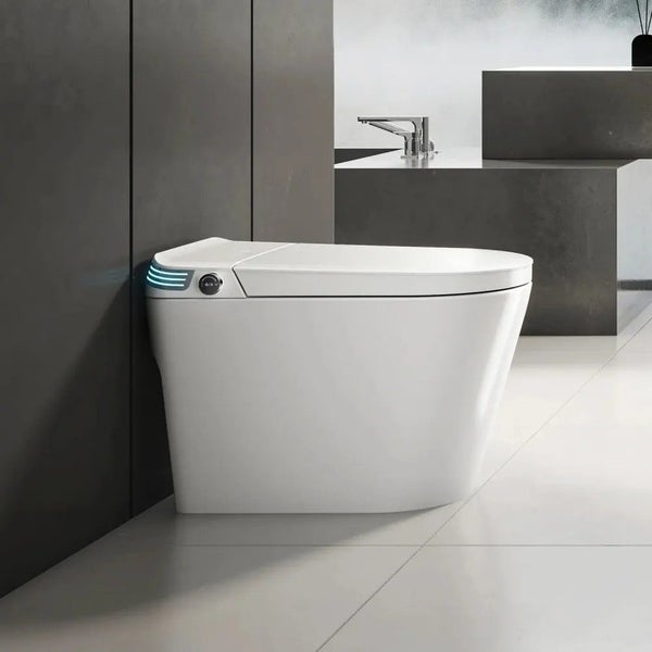 One Piece Intelligent Electric Smart Toilet Carousel 2