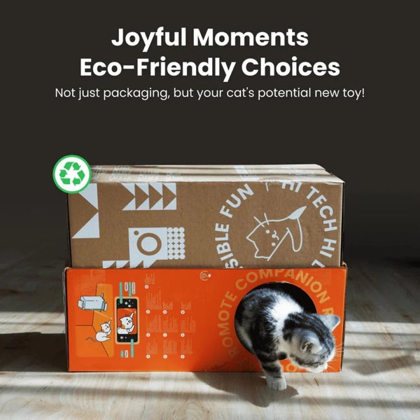 Cat smart feeder and sitter64442206062338113