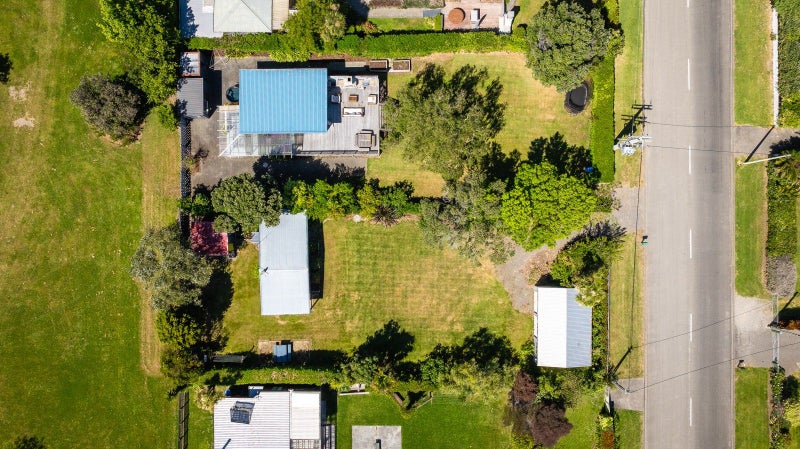 Quintessential Kiwi – potential on two titles!64447963323267111