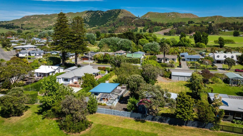 Quintessential Kiwi – potential on two titles!64447963323267112