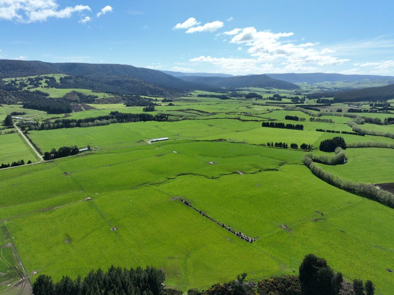 Versatile Dairy Grazing With Excellent Contour64525917815170110