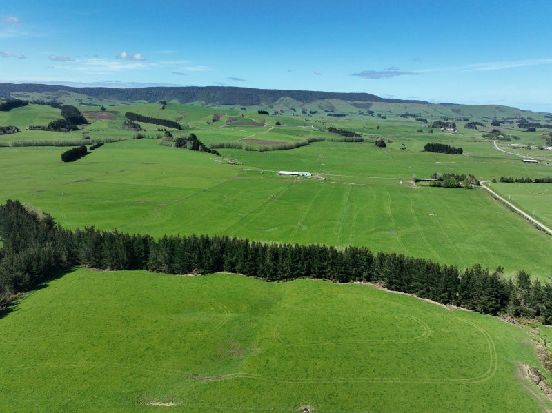 Versatile Dairy Grazing With Excellent Contour64525917815170111