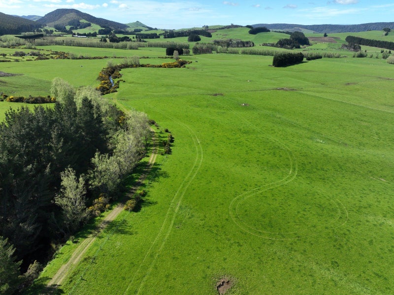 Versatile Dairy Grazing With Excellent Contour64525917815170113