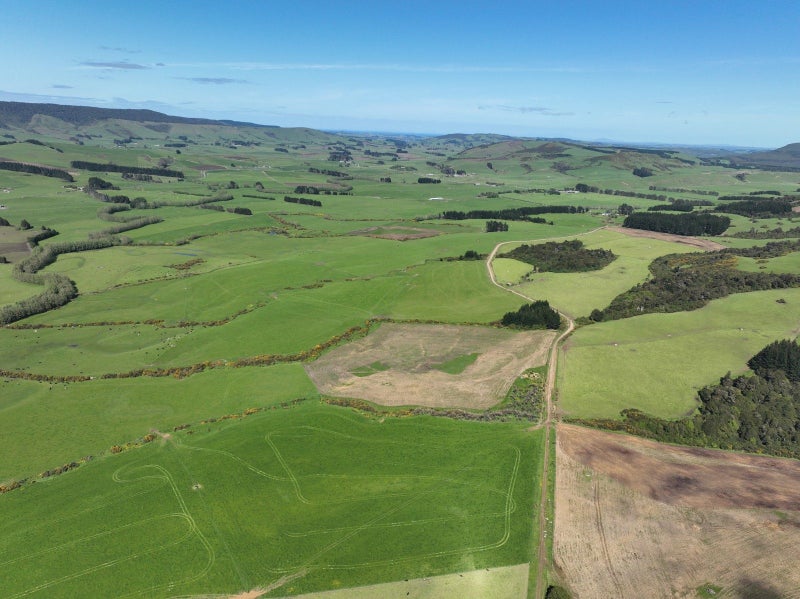 Versatile Dairy Grazing With Excellent Contour64525917815170114