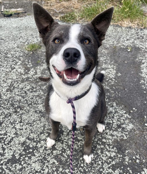 Blue - Chance 4 Change Carousel 1