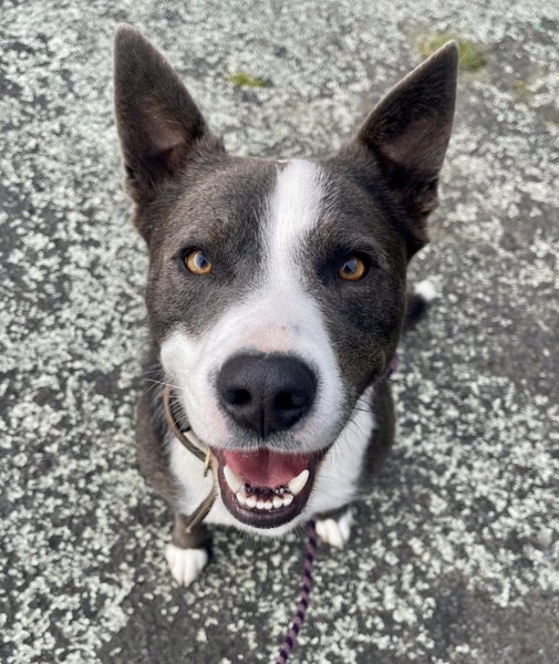 Blue - Chance 4 Change Carousel 2