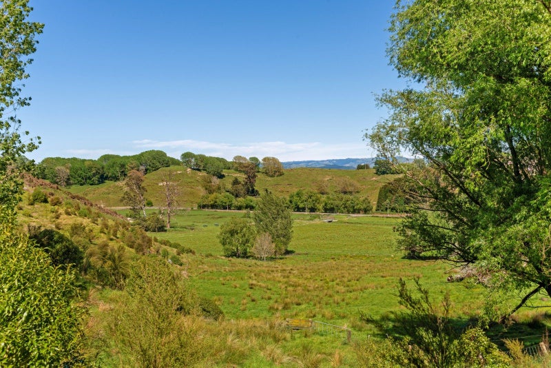 74ha minutes from Gisborne - explore your options64449360753665113