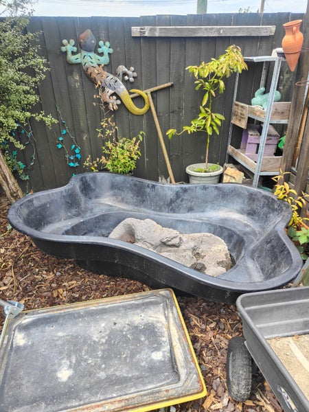 Large fish pond Carousel 1