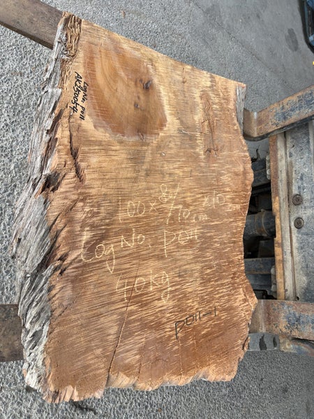 AK250054 Ancient Swamp Kauri Stump Slab – 100 × 80/70 × 10 cm64450585592963111