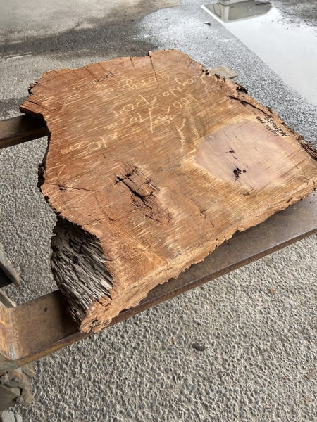 AK250054 Ancient Swamp Kauri Stump Slab – 100 × 80/70 × 10 cm64450585592963112