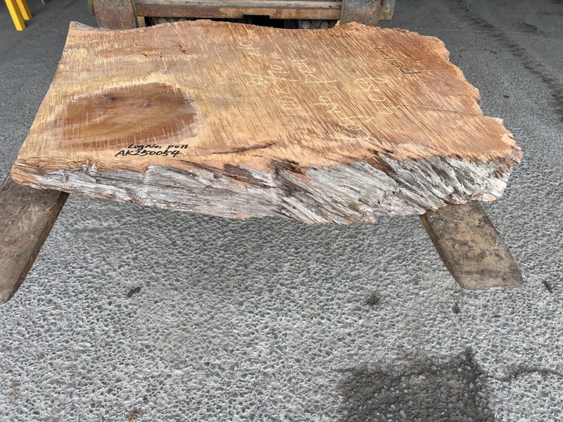 AK250054 Ancient Swamp Kauri Stump Slab – 100 × 80/70 × 10 cm64450585592963113
