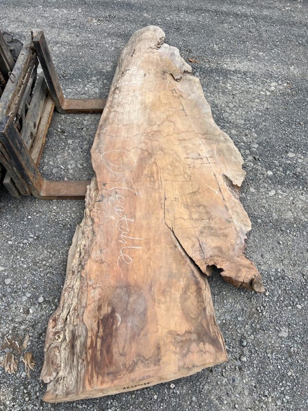 AK250055 Ancient Swamp Kauri Stump Burl Slab – 300 × 100/80/70 × 10 cm64451034765953111