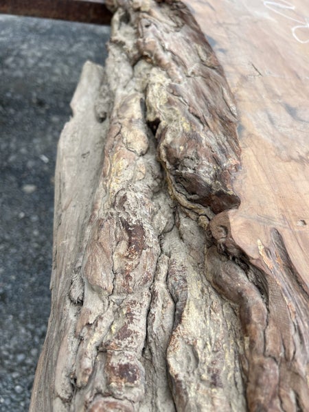 AK250055 Ancient Swamp Kauri Stump Burl Slab – 300 × 100/80/70 × 10 cm64451034765953113