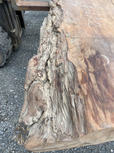 AK250055 Ancient Swamp Kauri Stump Burl Slab – 300 × 100/80/70 × 10 cm64451034765953112