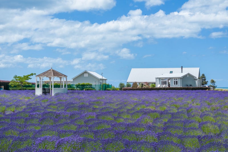 Exquisite Waterfront Retreat In A Serene Setting64451141710209110