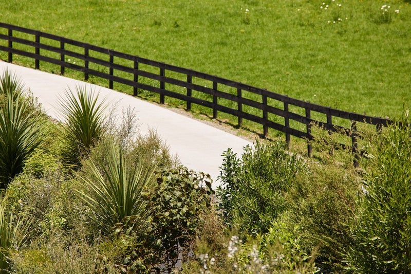 The Willows64452541950465114