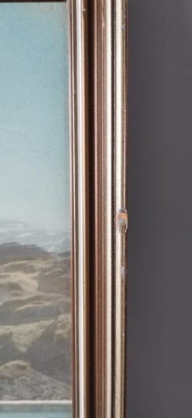 Vintage Whites Aviation Hand Coloured Picture - Glendhu Bay - Lake Wanaka Carousel 14