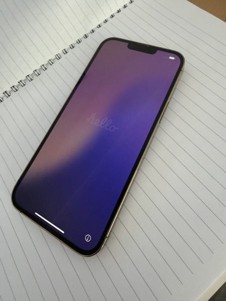 iPhone 13 Pro Max64453674897795111