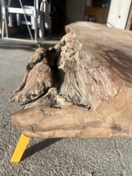 AK250055 Ancient Swamp Kauri Stump Burl Slab – 300 × 100/80/70 × 10 cm64621883841025110