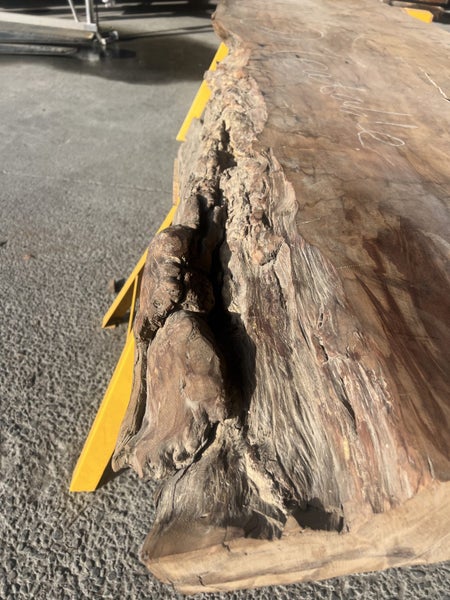 AK250055 Ancient Swamp Kauri Stump Burl Slab – 300 × 100/80/70 × 10 cm64621883841025113