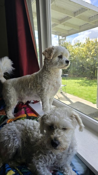 Pohangina, 1 bedroom64458847853442110