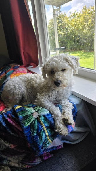 Pohangina, 1 bedroom64458847853442111