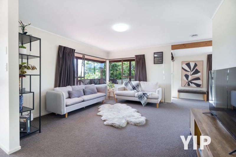 Sun & Section? YIP!64460002636417112