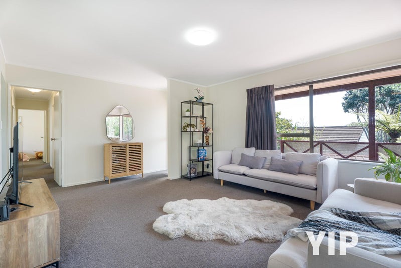 Sun & Section? YIP!64460002636417113