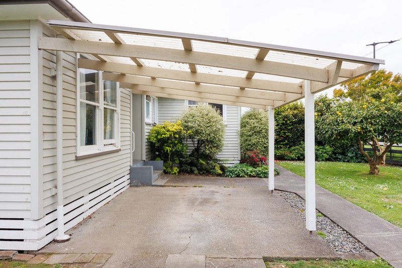 Solid Starter in Marton64461096073090112