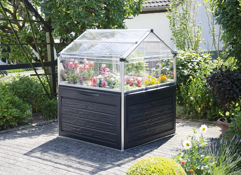 Maze Plant Inn Greenhouse Carousel 1