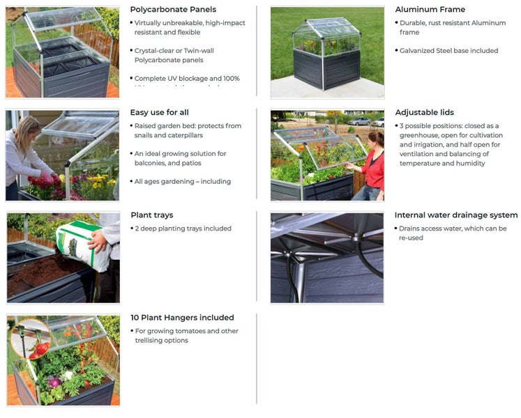 Maze Plant Inn Greenhouse Carousel 7